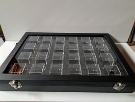 Goldstufen / Mineralien Präsentations-Schaukasten
