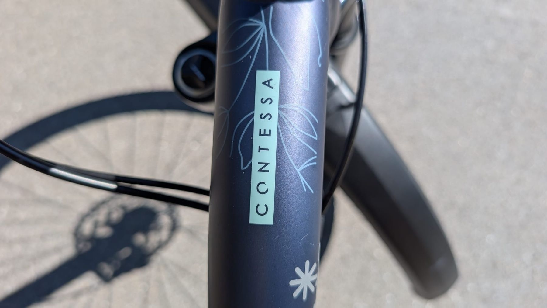 Velos: Scott Contessa S – Gebraucht aus Glarus von Andrea_Clauser 1