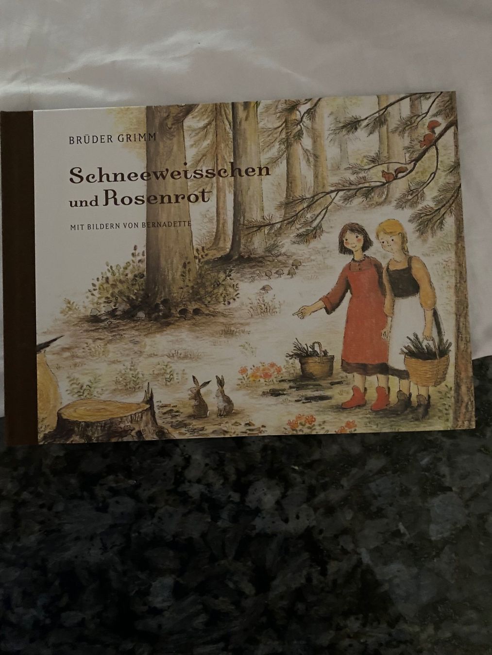 Libri: Schneeweisschen und Rosenrot   Brüder Grimm – Nuovo (secondo la descrizione) da Allenwinden venduto da Obalu 1