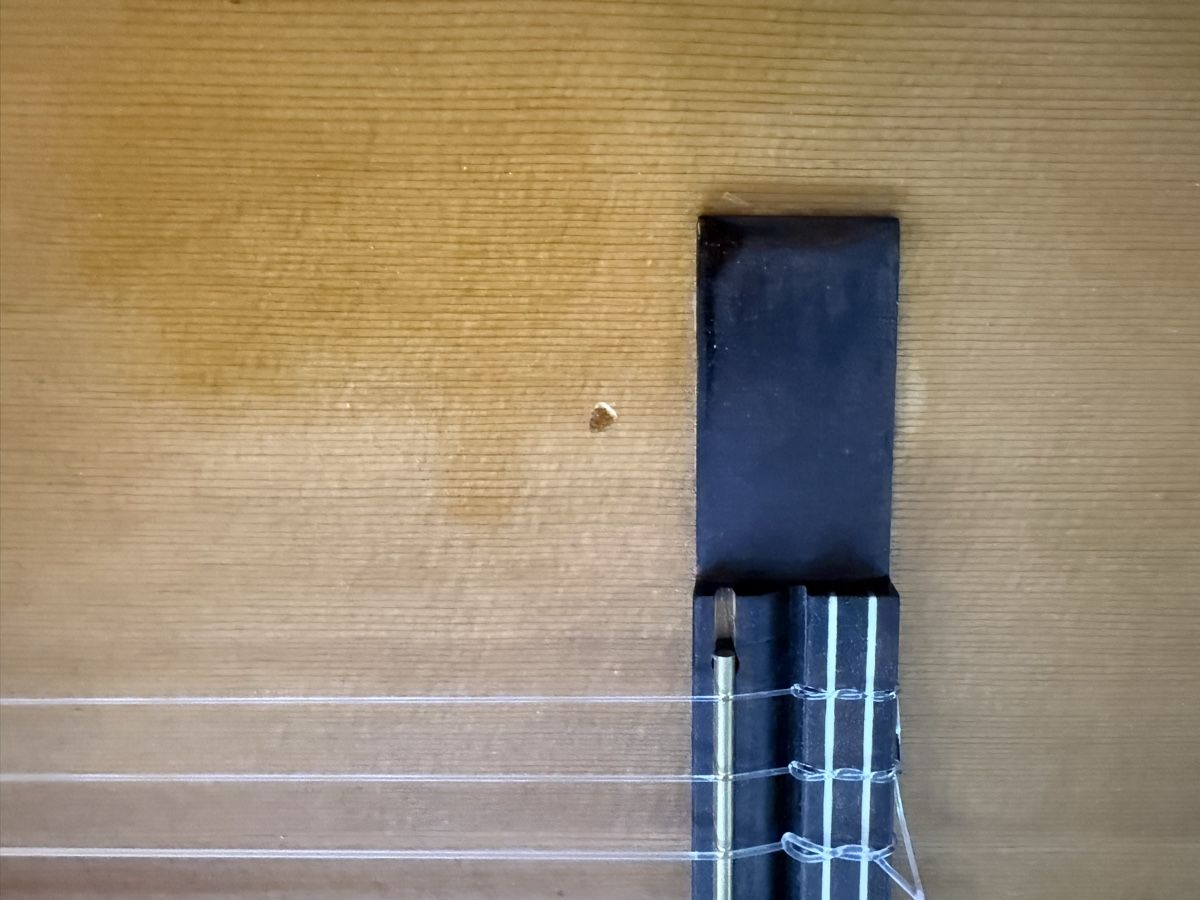 Musikinstrumente: Alte Gitarre A&R Halb Akustisch – Gebraucht aus Goldach von Messerguru 2