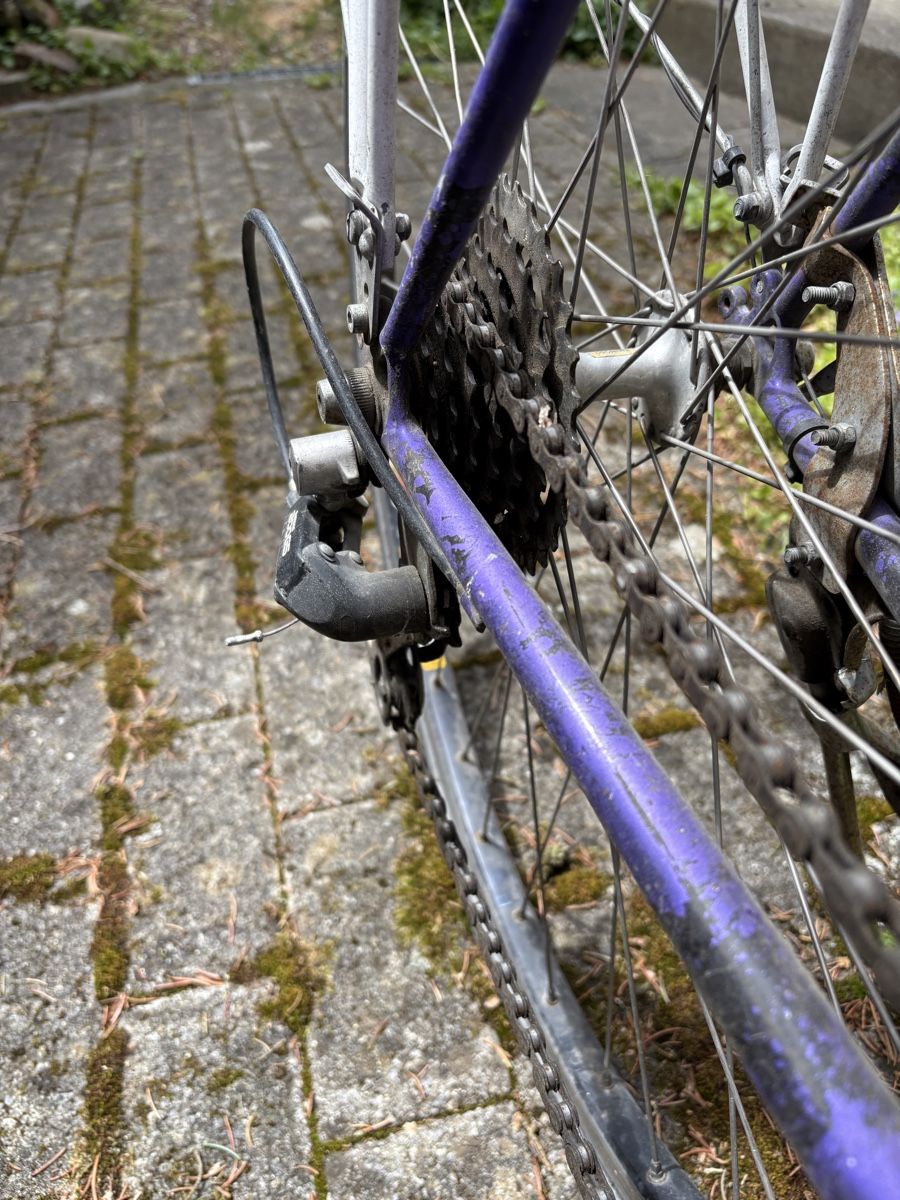 Biciclette: Velo lila – Usato da St.Margrethen SG venduto da bettyblue 2