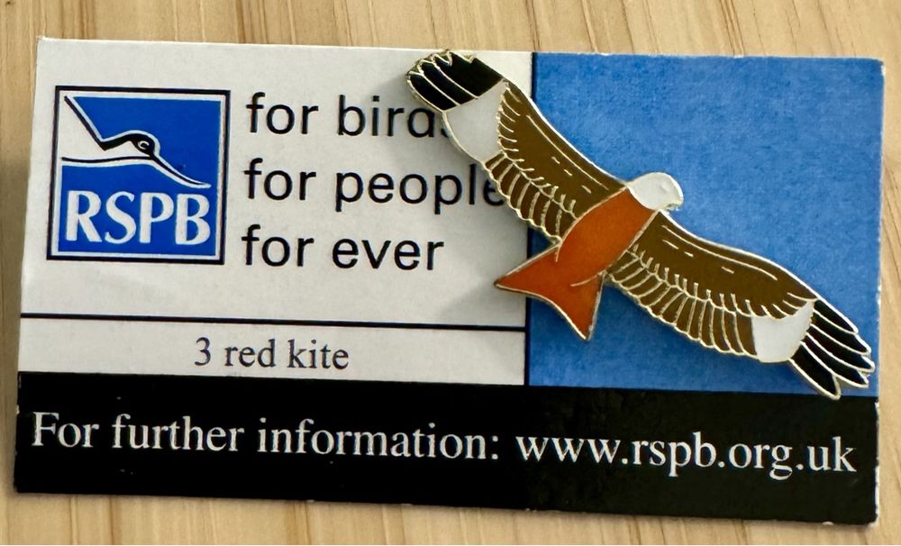 Hawk pin badge - Red Kite | Kaufen auf Ricardo