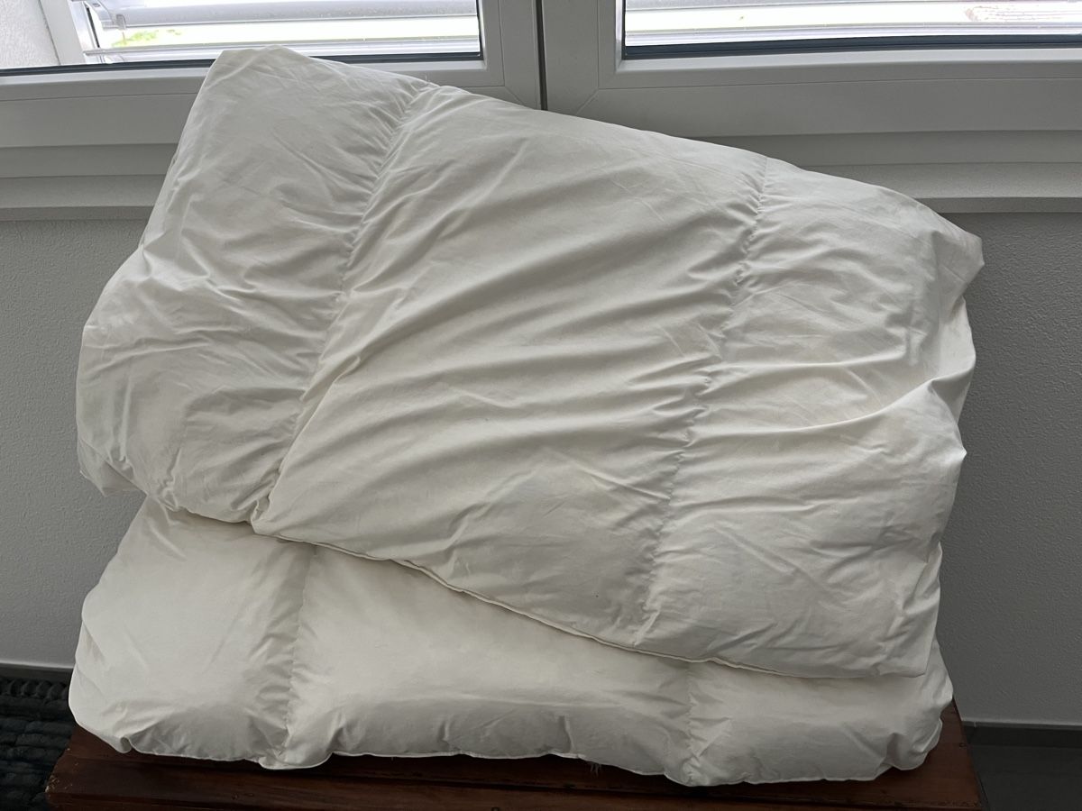Cuscini: 2 cuscini Albis 65x100cm in piuma – Usato da Osogna venduto da dan_8vzm 1