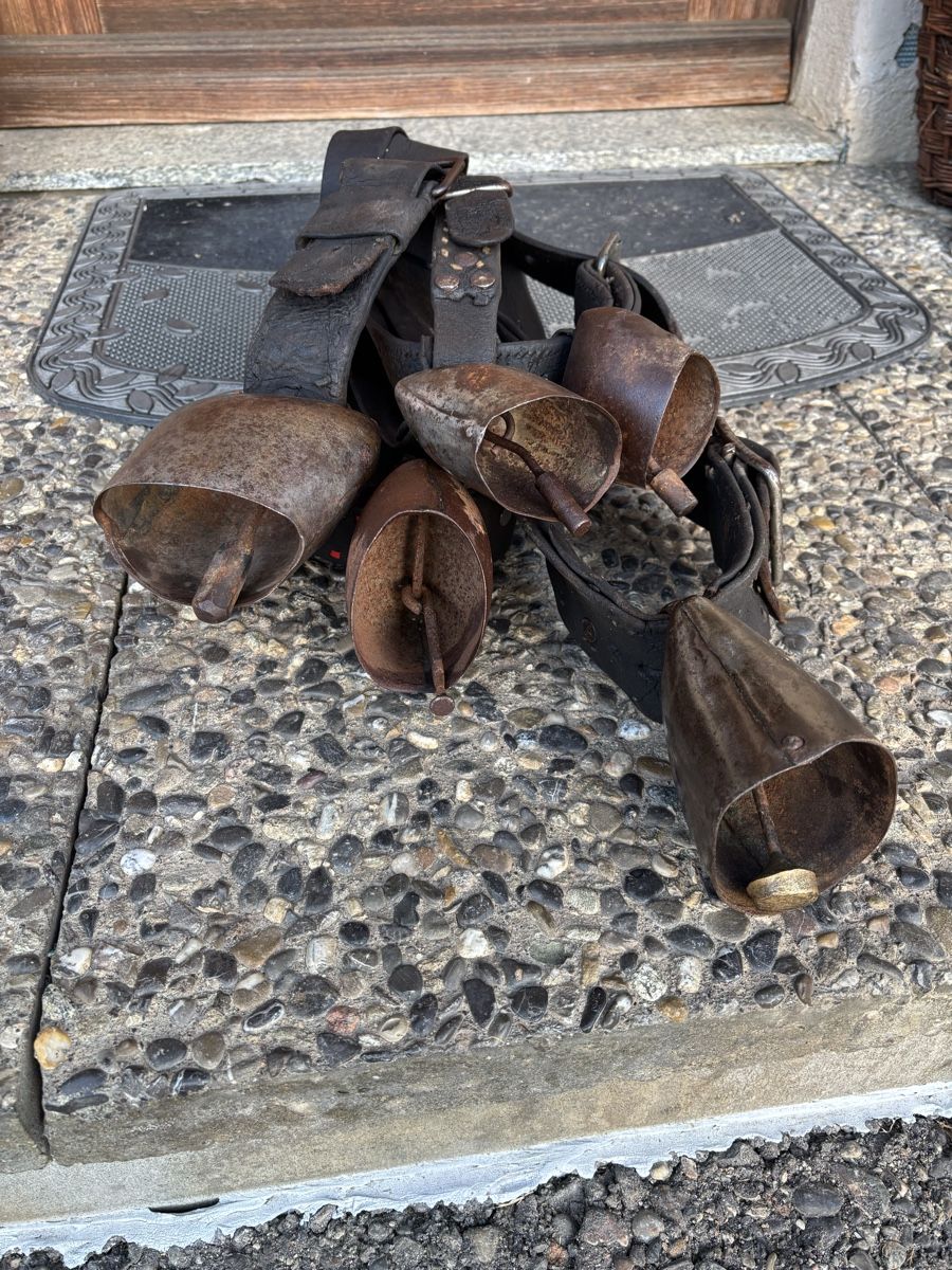 Campanacci mucche: 5 Rindertreicheln – Usato da Schangnau venduto da Roseggli82 3