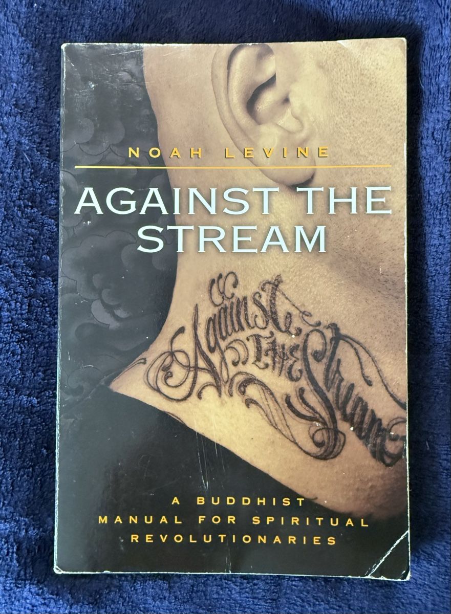 Libri: Noah Levine-Dharma Punk-Against the Stream Buchset – Usato da Birsfelden venduto da Soulseeker 1