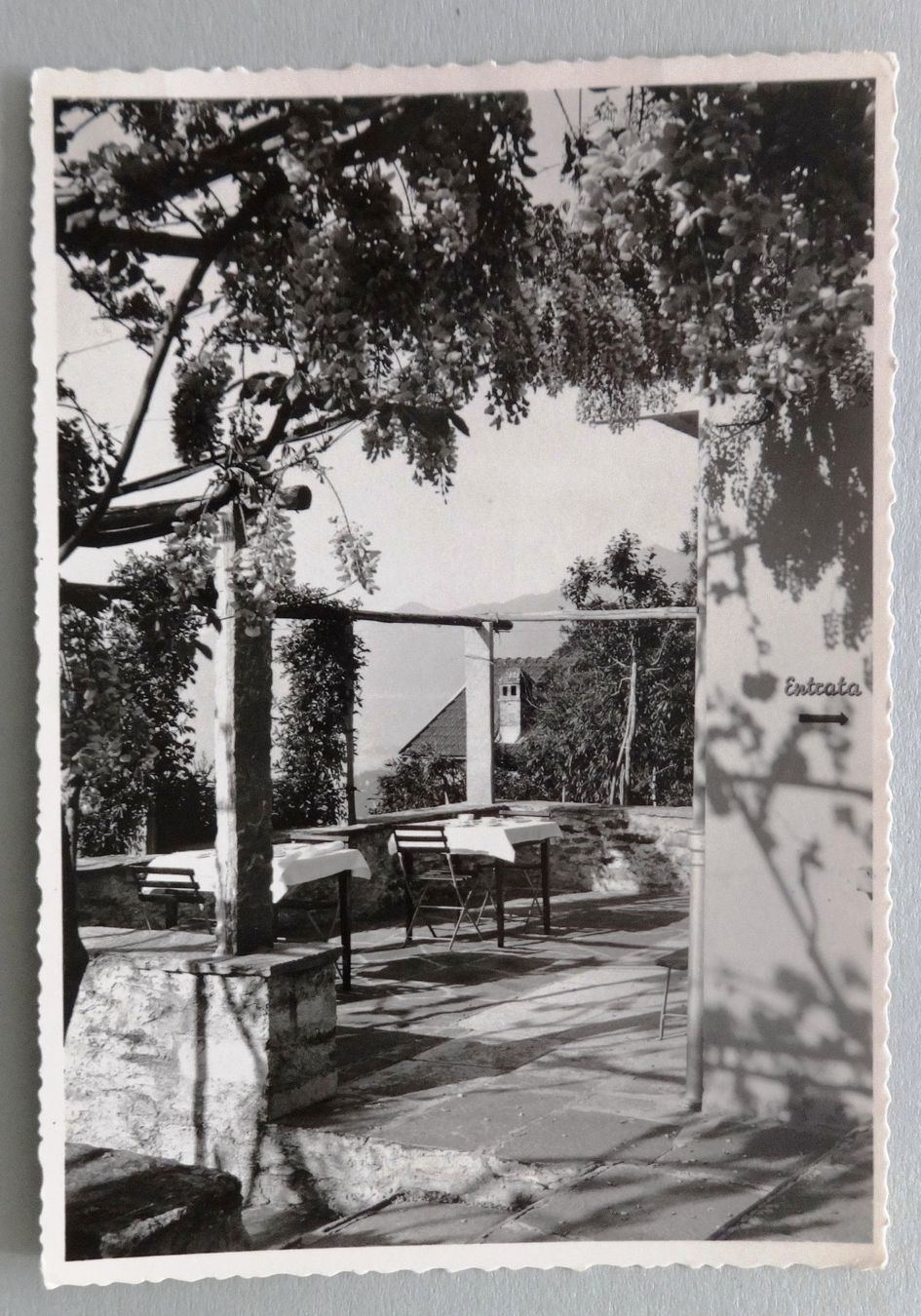 Cartes postales: Pension "Pergola", Monti-Locarno – D'occasion à Fétigny par Billy2miny
