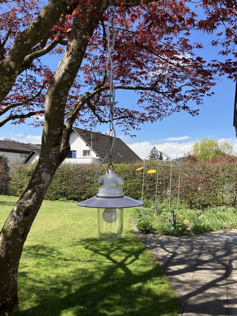 Lampadari & plafoniere: antike Leuchte – Usato da Flawil venduto da Wingman.17 1
