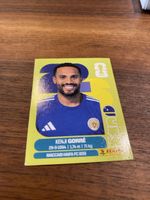 Panini Cuw15