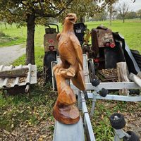 Alter Holzgeschnitzter Adler