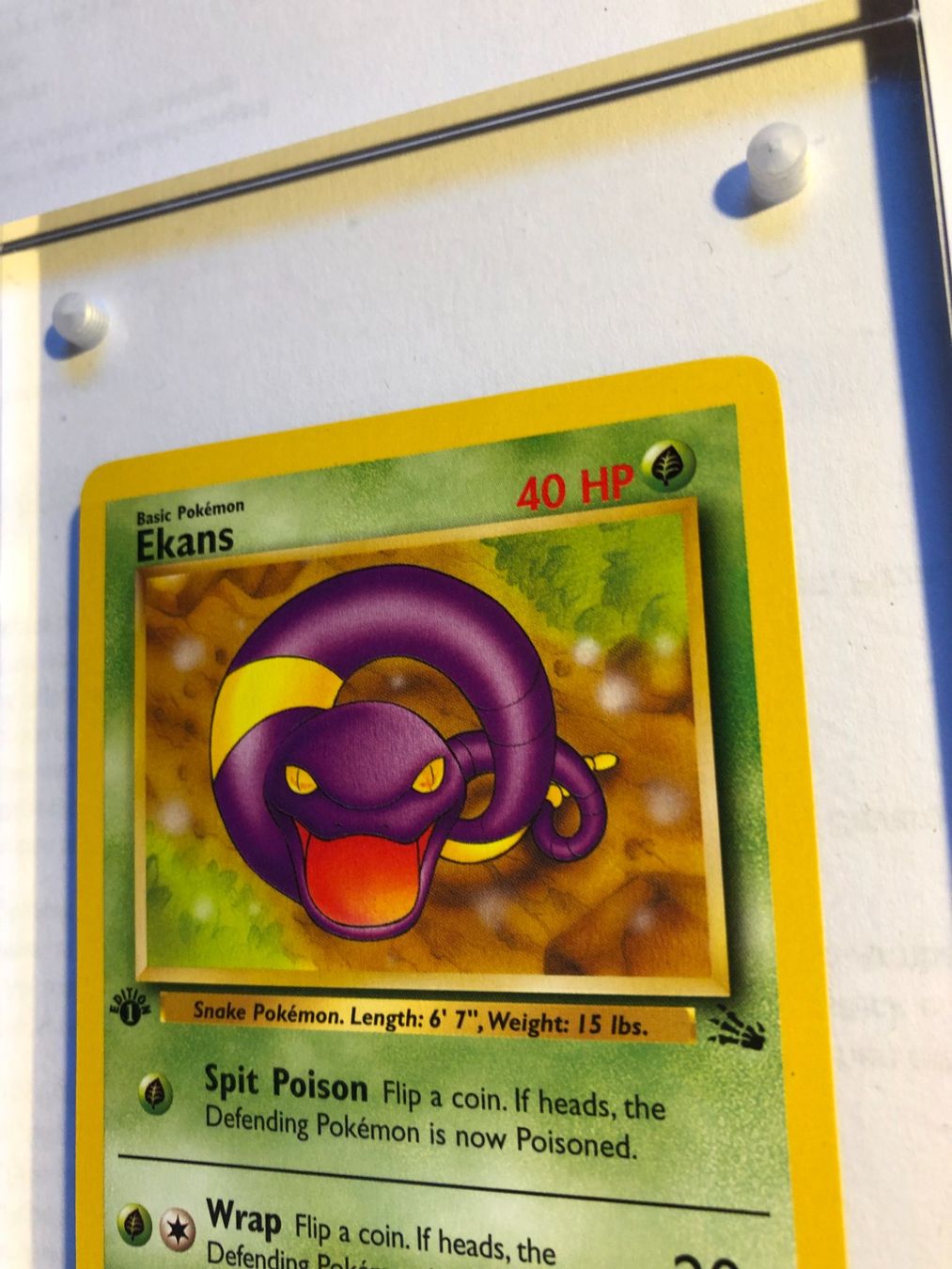 Carte collezionabili: Ekans 1st Fossil - MINT - ab 1.- – Usato da Giubiasco venduto da dan_pr8b 3