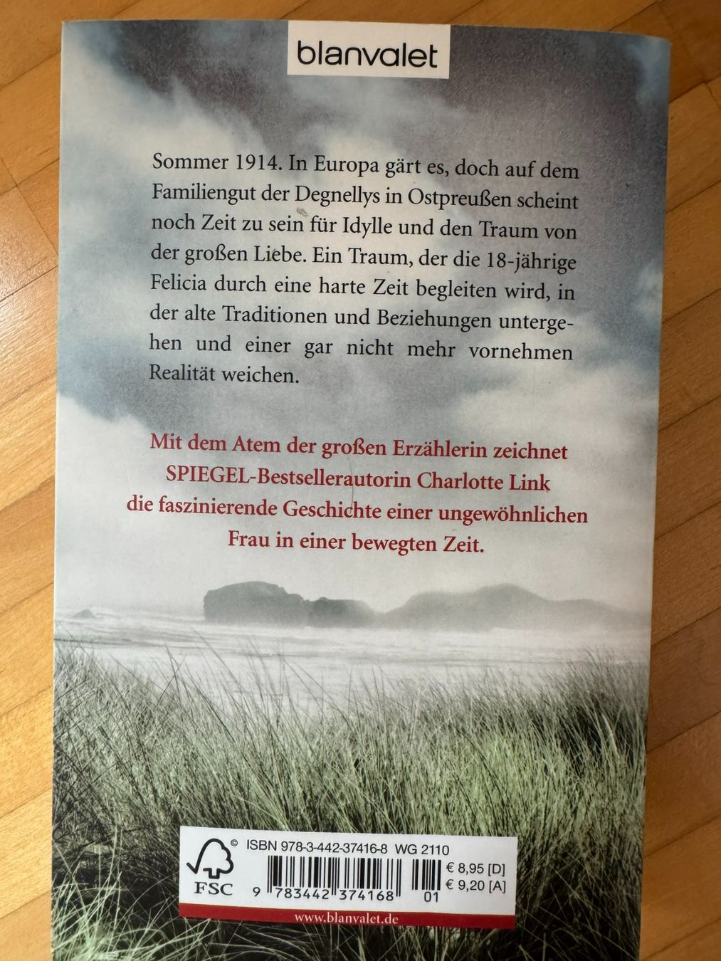 Libri: Sturmzeit - Charlotte Link – Usato da Küssnacht am Rigi venduto da DanielaH0102 1