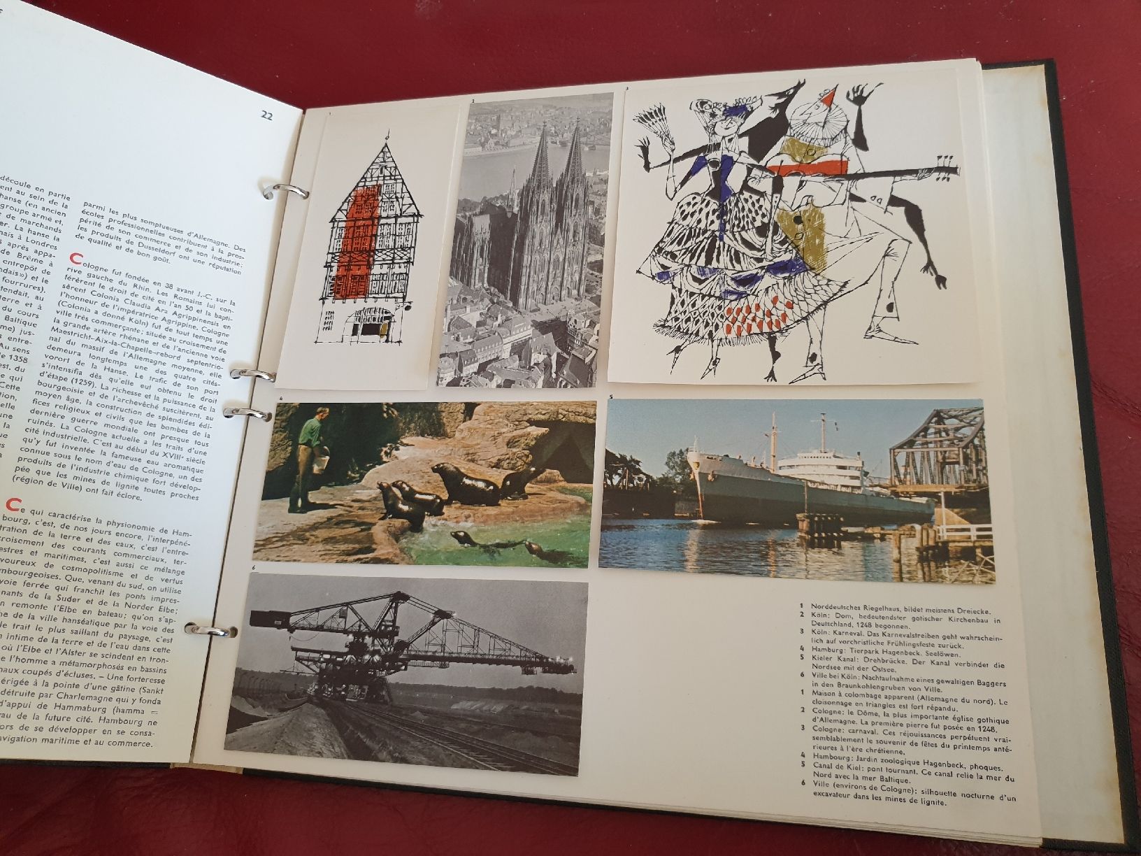 Libri: Maestrani Flies Swissair – Usato da Viganello venduto da Priska.c 6
