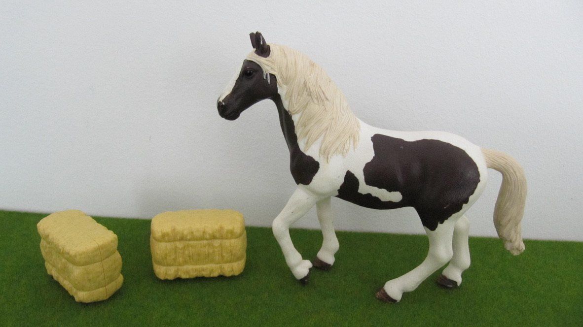 Schleich Giocattoli: Schleich Pferdekoppel mit Eingangstor + Zubehör – Usato da Brunnen venduto da Kiwiland1 3