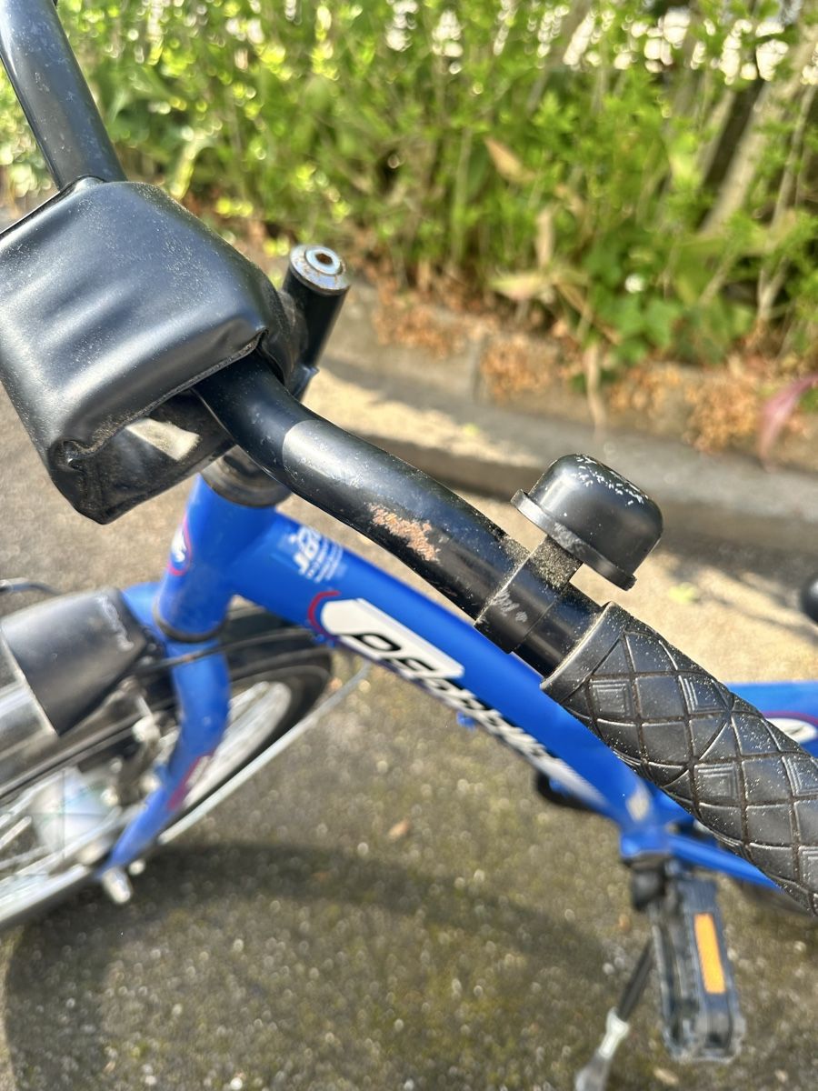 Biciclette: Pegasus Arcona Kindervelo, blau,  20 Zoll – Usato da Luzern venduto da linacolada1 3