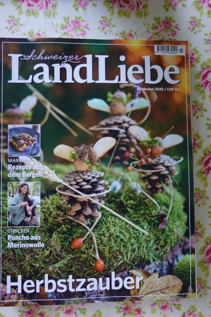 Riviste & Magazine: 7 Schweizer LandLiebe Magazine Schweiz 2025 Garten Kochen... – Usato da Jona venduto da simongarden 2