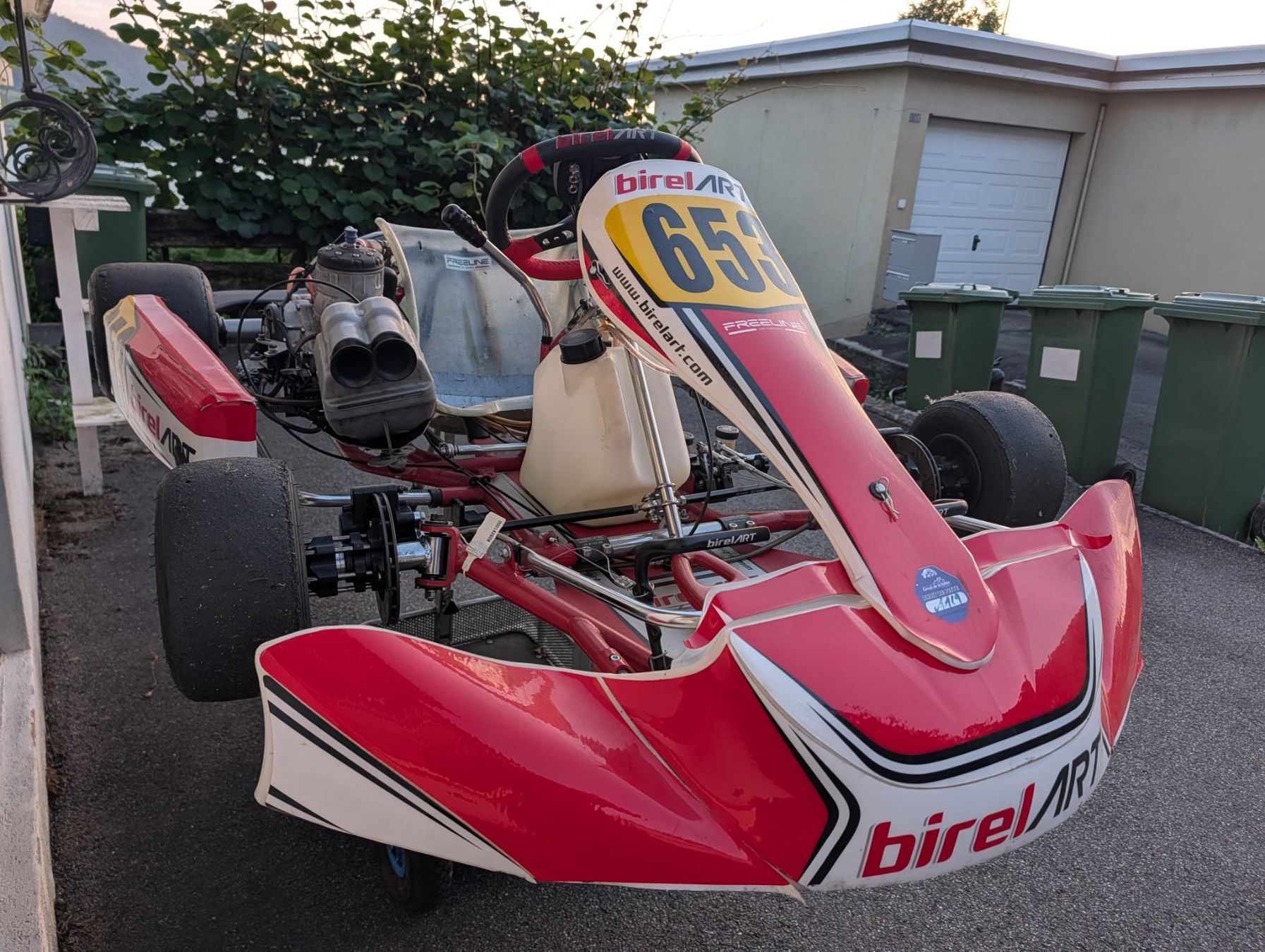 Karts: Birel ART Schaltkart – Gebraucht aus Walchwil von whezg