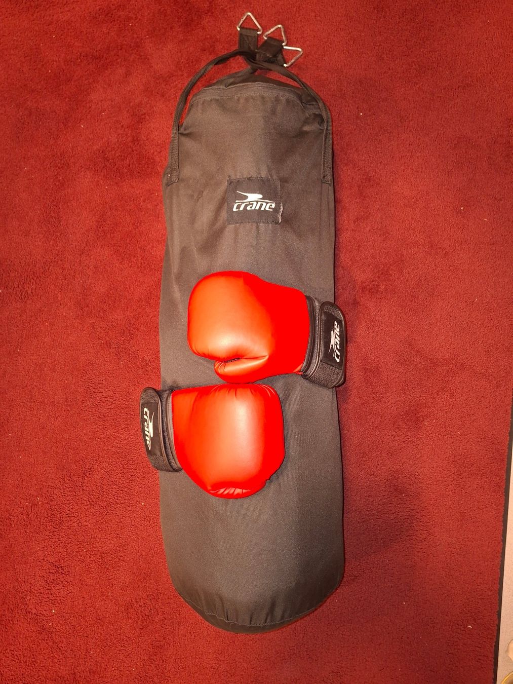 Sacs de frappe: Crane Boxsack mit Boxhandschuhe – D'occasion à Wetzikon ZH par Klotzfrosch