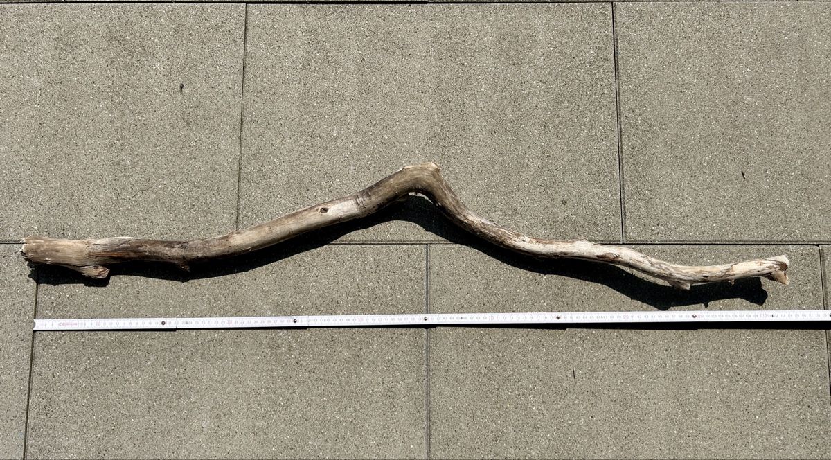 Tutte le decorazioni: Schwemmholz Ast 113 cm lang  – Nuovo (secondo la descrizione) da St. Urban venduto da uschi73 2