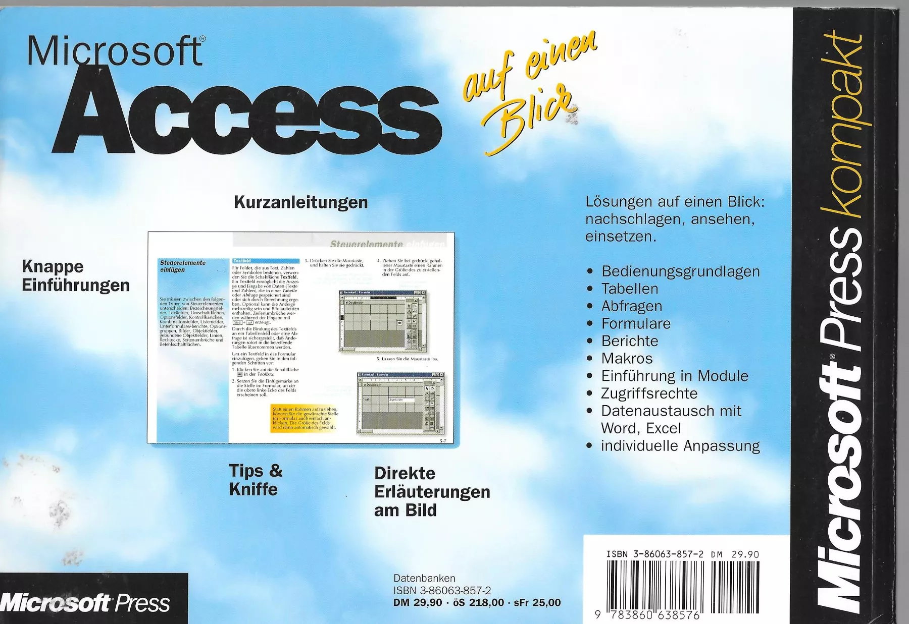 Libri: Microsoft Access 95 Version 7 – Usato da Lausanne venduto da jag_sj6f 1