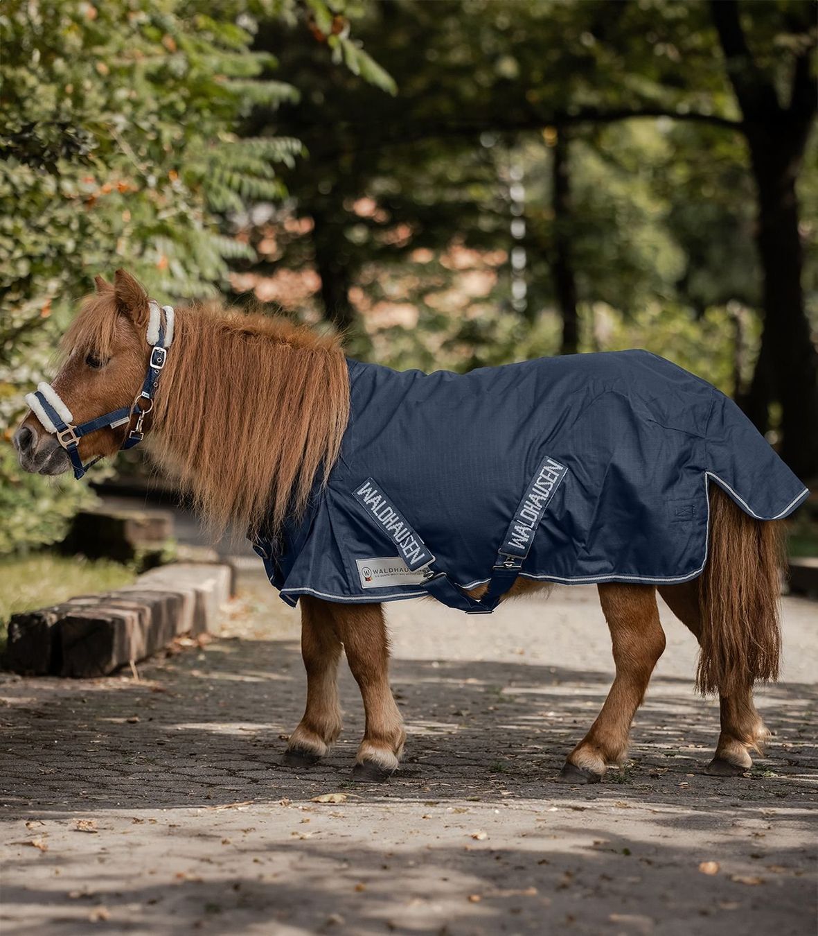 Decken: Waldhausen COMFORT Shetty-Regendecke LIGHT 80 cm – Neu und originalverpackt aus Frauenfeld von Nikodemus3