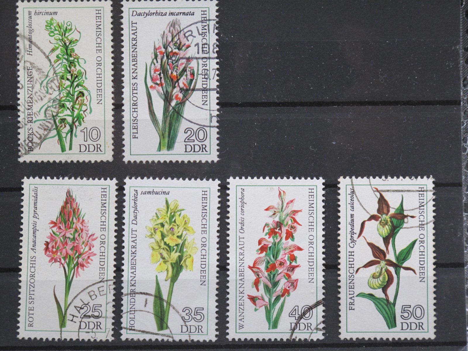 Tutti i francobolli: DDR 1976 Heimische Orchideen gest. – Usato da Wil SG venduto da fva01