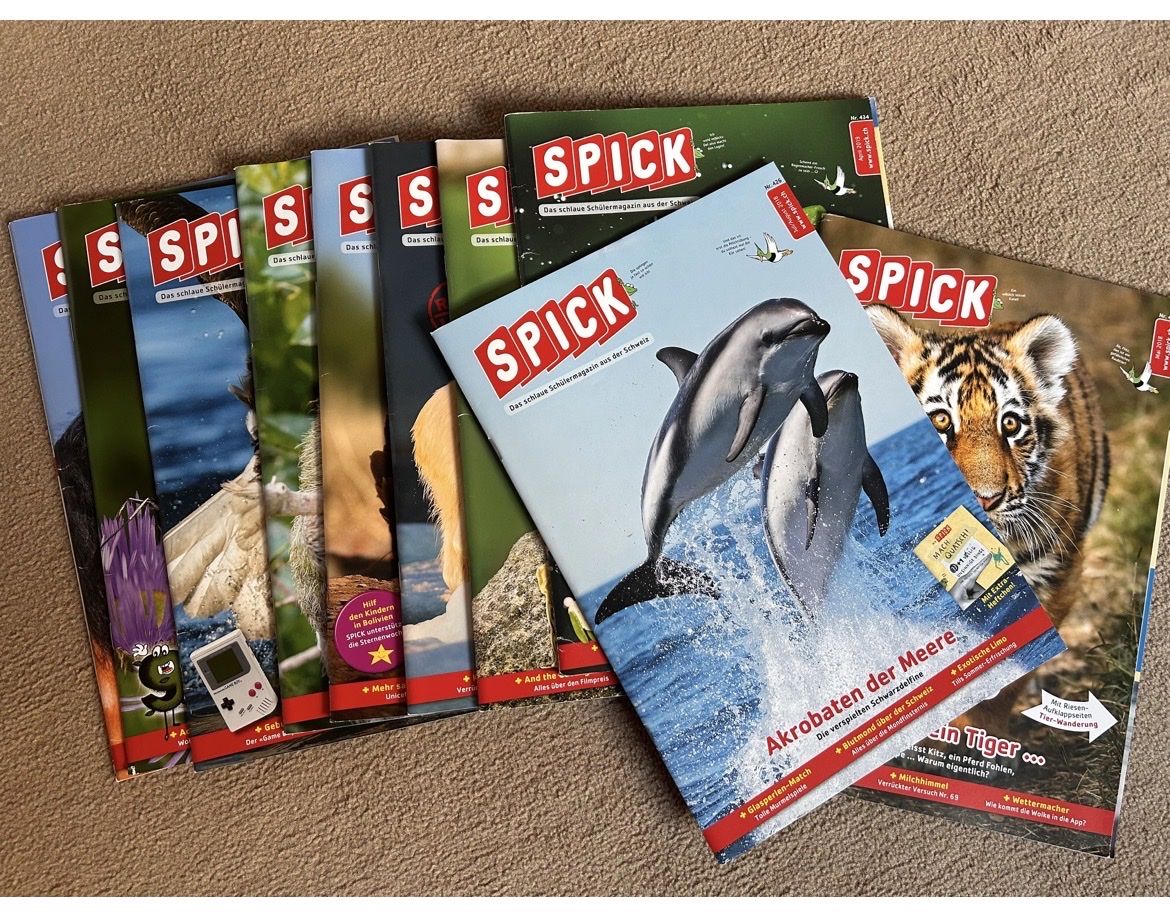 Riviste & Magazine: SPICK Magazine 10er bundle – Usato da Dürnten venduto da lil_b5jv