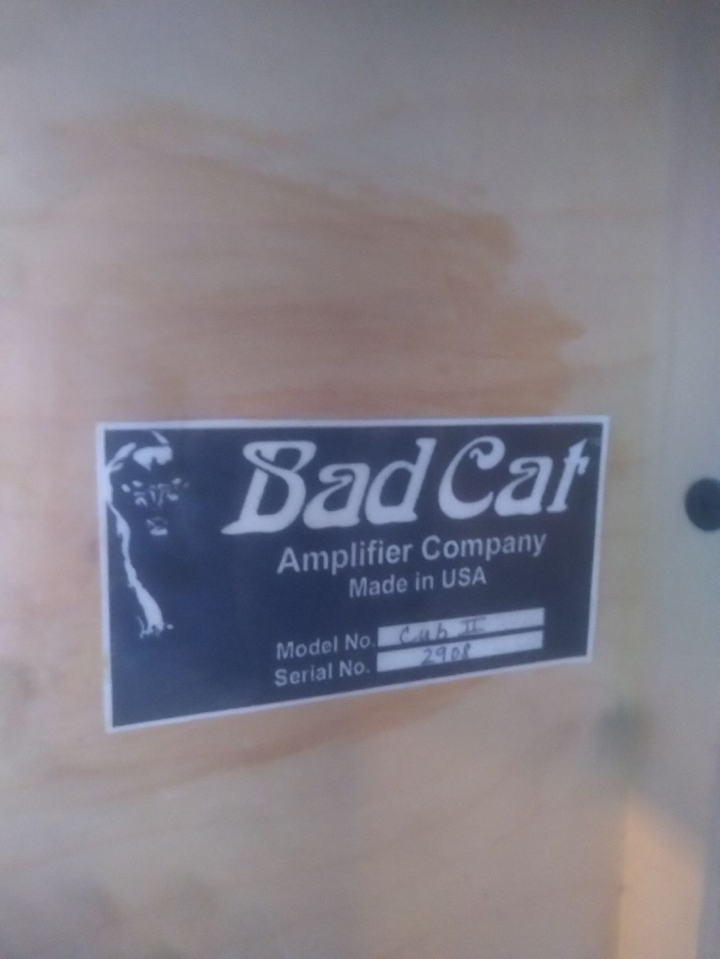 Amplificatori: BAD CAT CUB II – Usato da Luzern venduto da zlotan 1