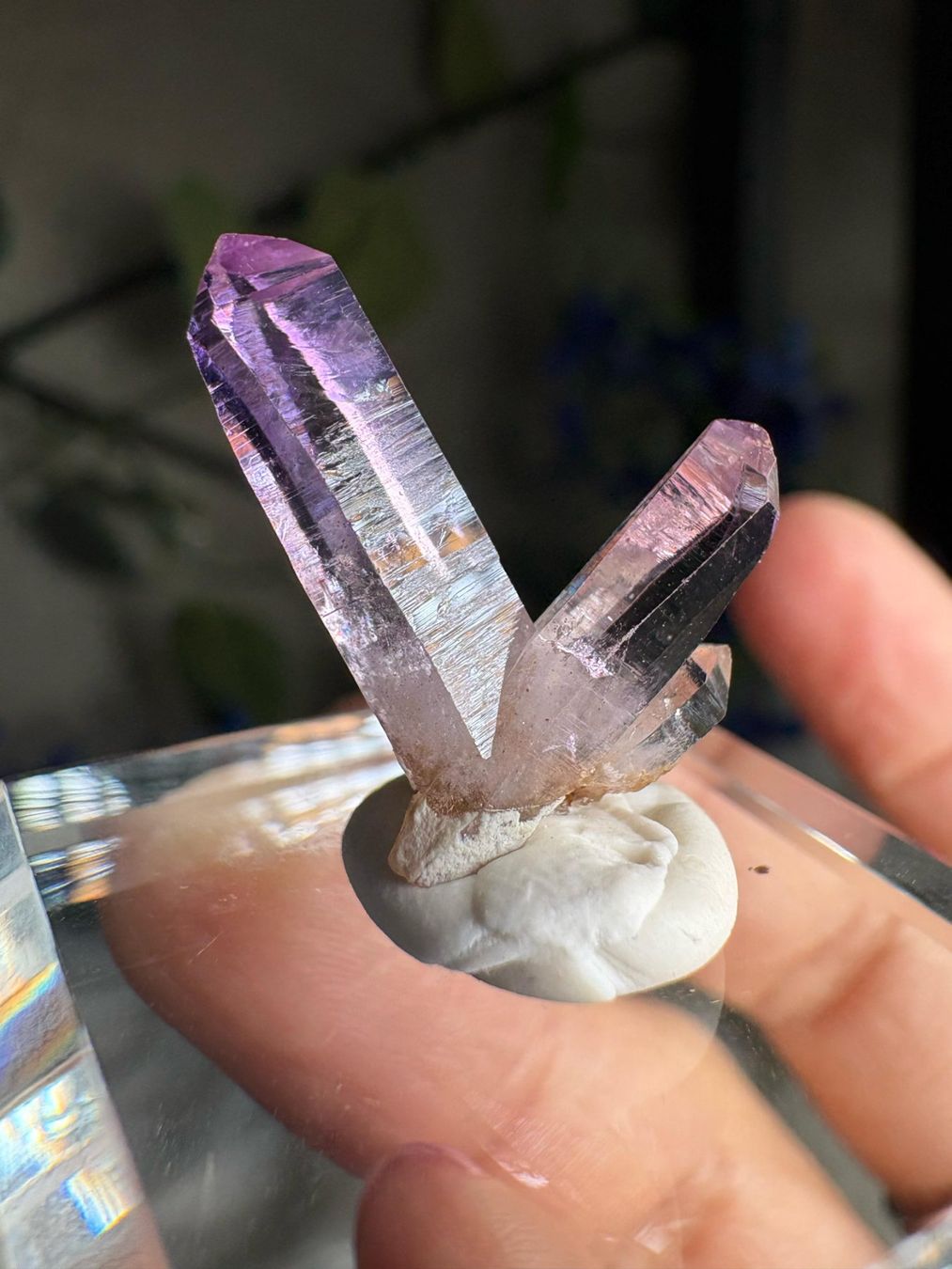 Pietre preziose: Veracruz Amethyst – Nuovo (secondo la descrizione) da Neuheim venduto da m.hald 3