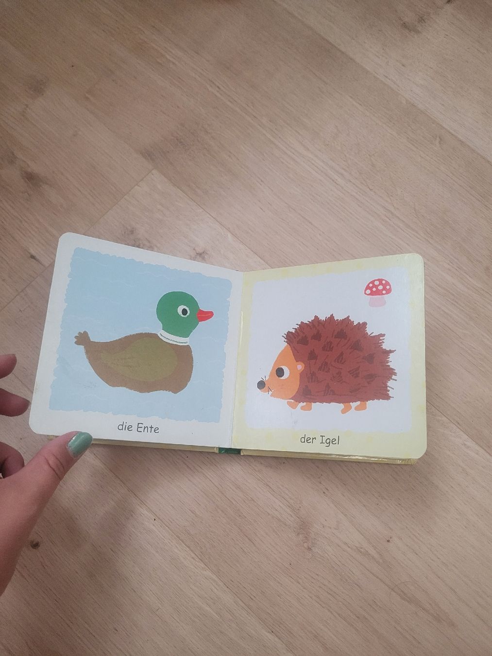 Livres: Bilderbuch Tiere – D'occasion à Lupsingen par sta_wgg5 4