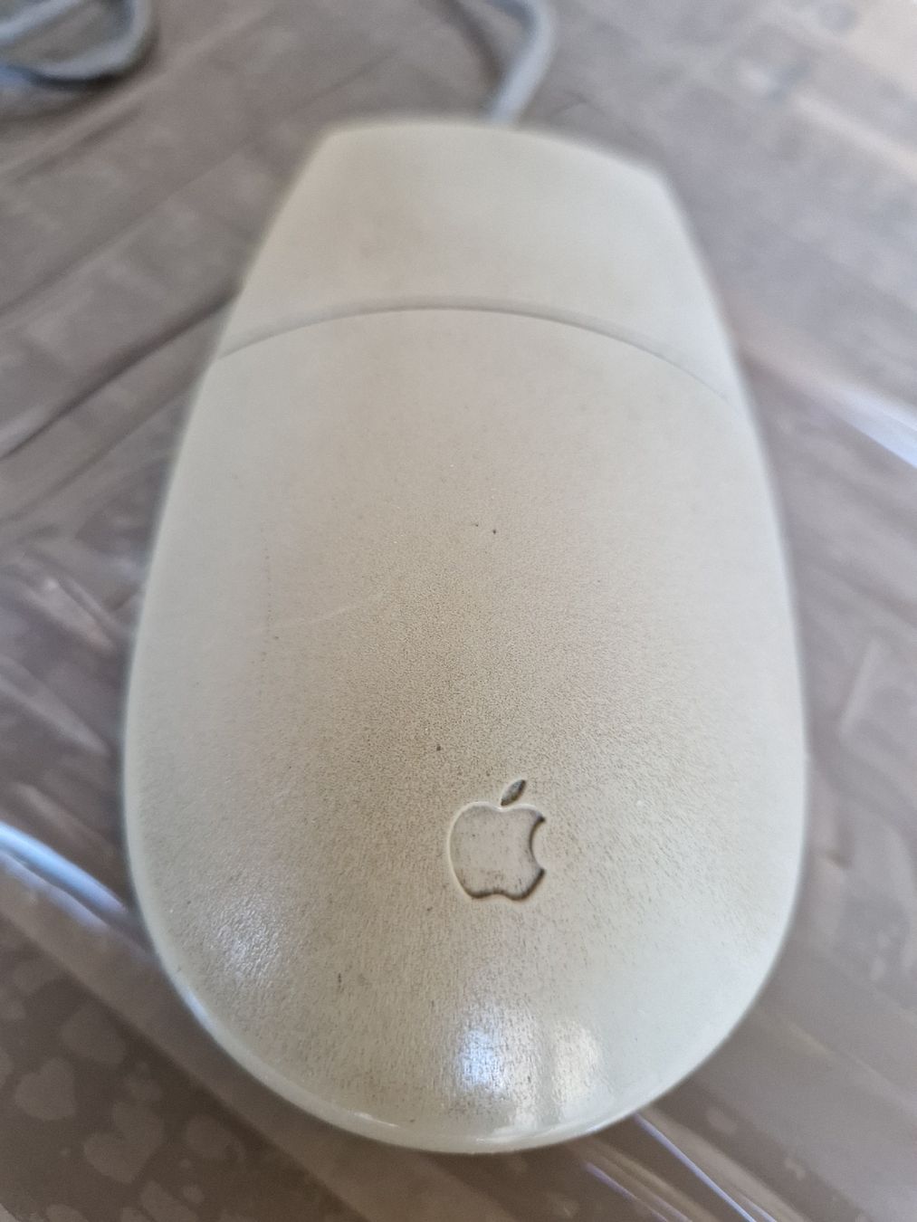 Apple Mouse: Vecchio mouse Apple macintosh – Difettoso da Breno venduto da BorioliD 1