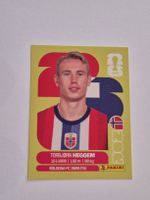 Panini Torbjørn Heggem NOR 8