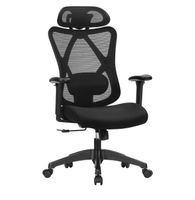 Songmics Office Chair - Top Ergonomie