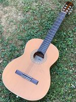 Gitarre „Aria“ A550 (Japan) mit Tasche