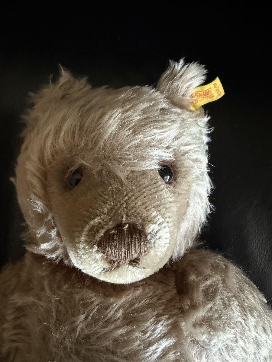 Steiff Giocattoli: Älterer Steiff Teddy  – Usato da Hochfelden venduto da larson27 1