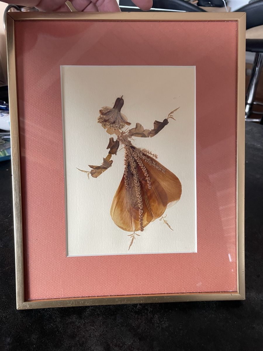 Dipinti: Tableau Danseuse Art Floral Pressé – Usato da Vallamand venduto da Bricbracbroc82 1