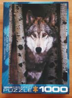 Puzzle 1000 pièces, loup gris