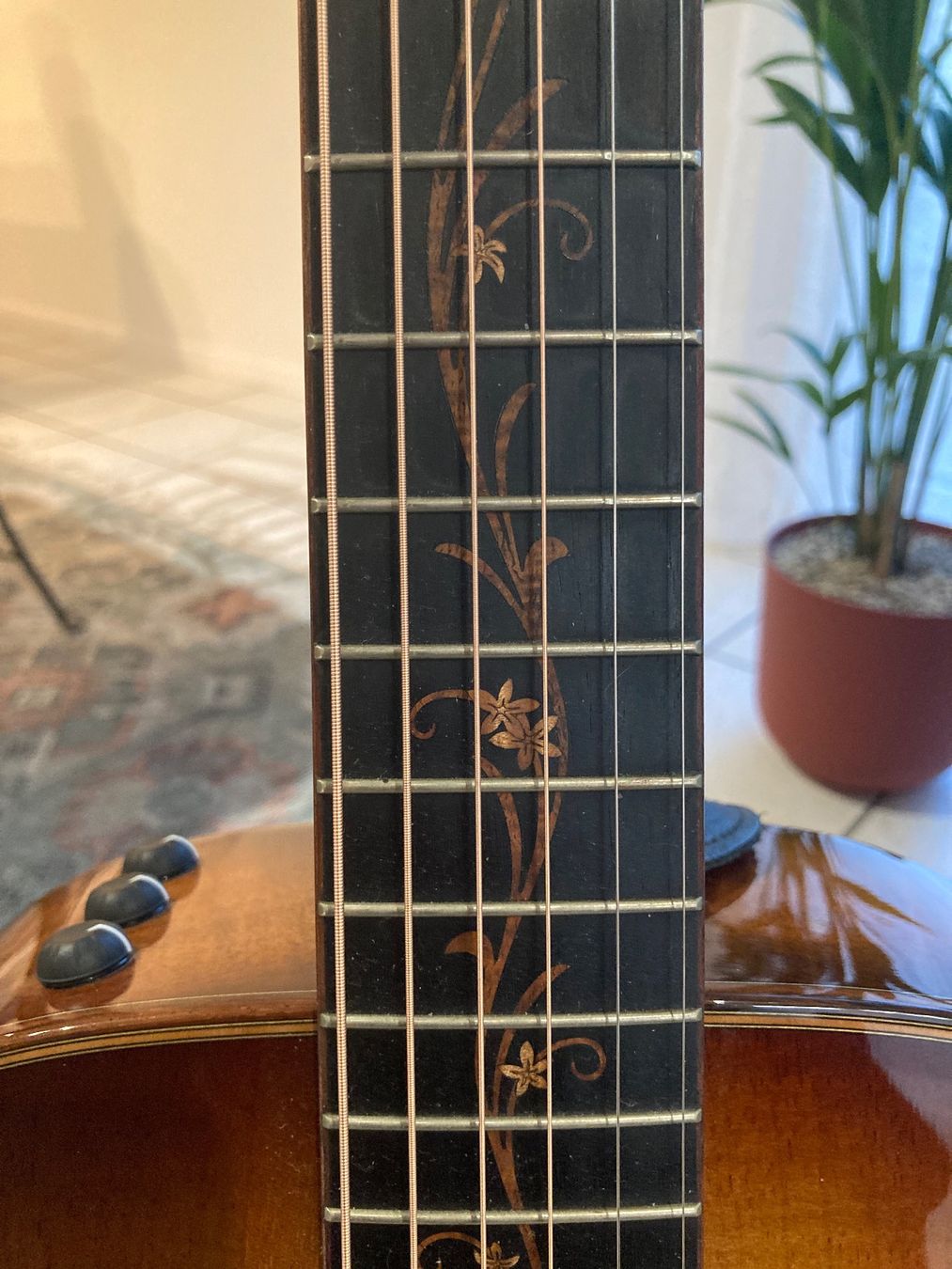 Taylor Strumenti musicali: Wunderschöne Taylor Gitarre – Usato da Brüttisellen venduto da Passenger01 4