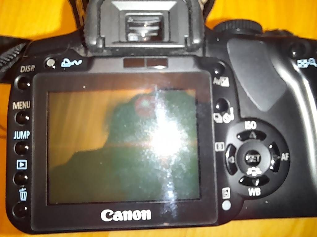 Canon Fotocamera: CANON EOS Spiegelreflexkamera Schwarz – Usato da Flawil venduto da MovieNostalgie 2
