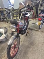 pony 503 automat 