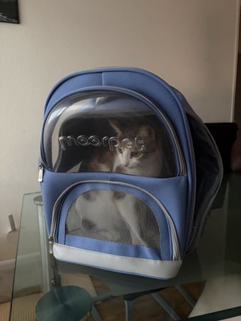 Katzenrucksack Transportrucksack Katze Hund Haustier