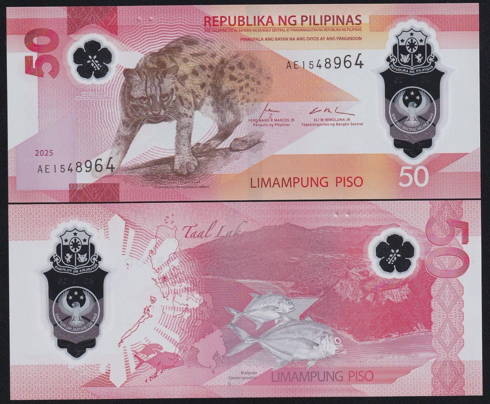 Banconote: Philippinen 50 Piso UNC 2025 – Nuovo e nell'imballaggio originale da Naters venduto da Radman