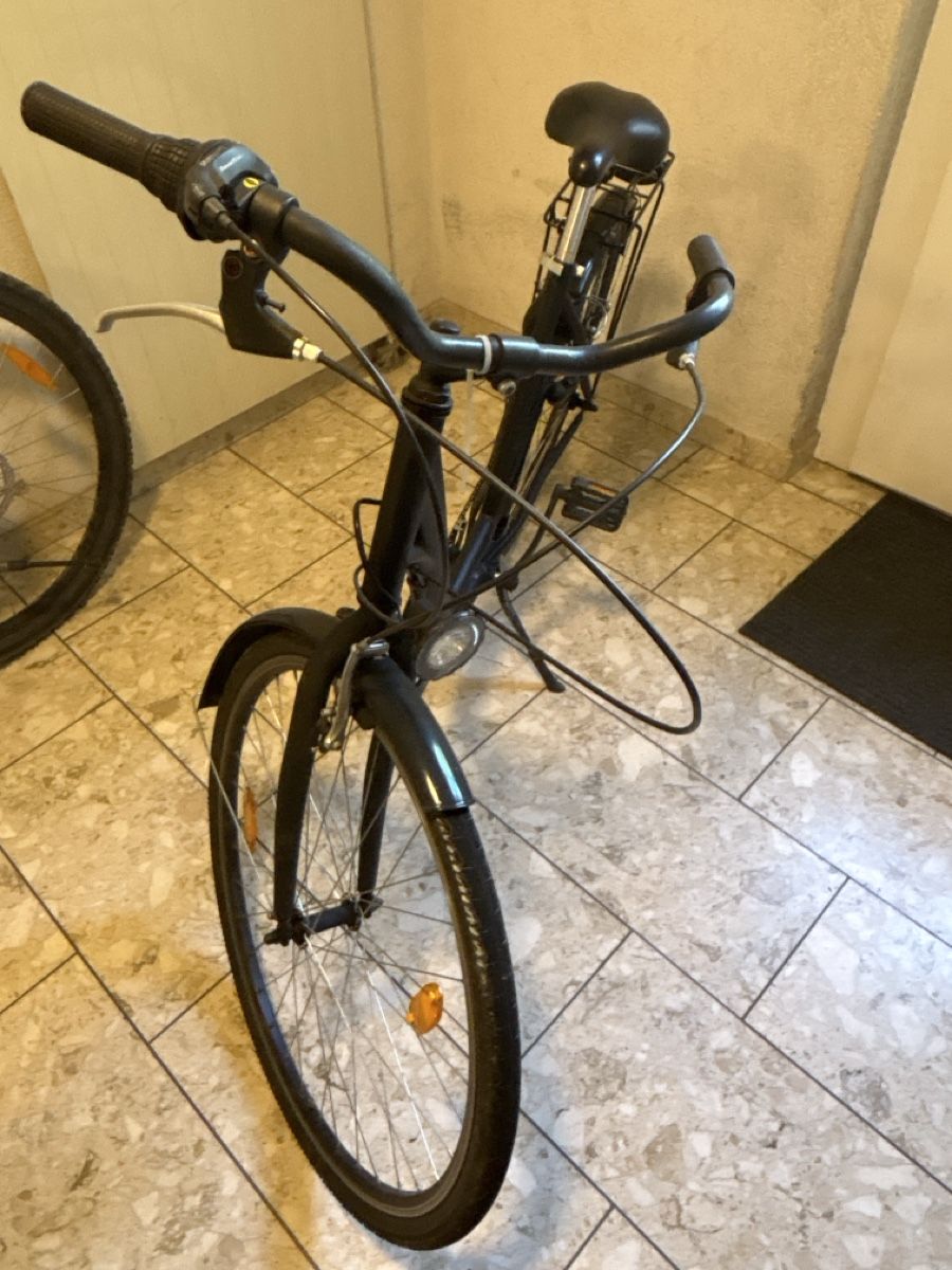 Biciclette: Fahrrad/Velo gebraucht – Difettoso da Frick venduto da Marktpilot 1
