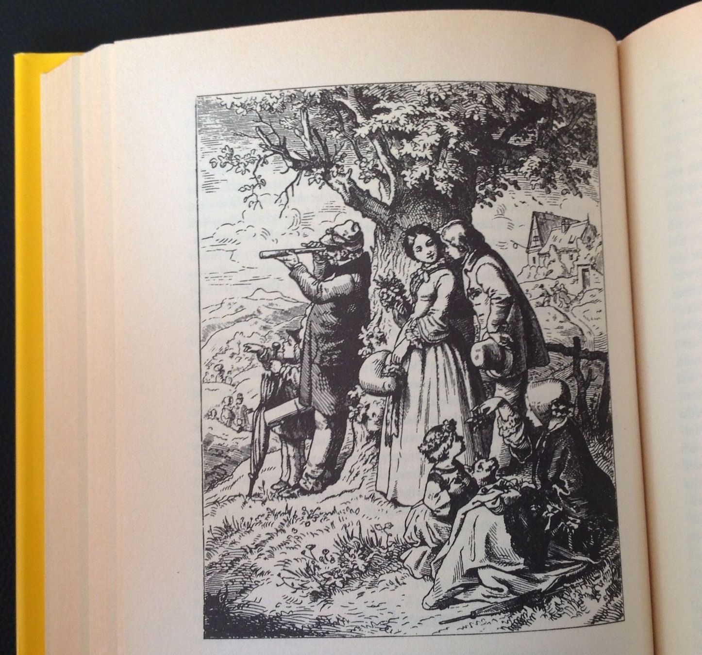 Libri: Schwarzwald, Badisches Hausbuch eg – Usato da Reinach BL venduto da Linda013 7