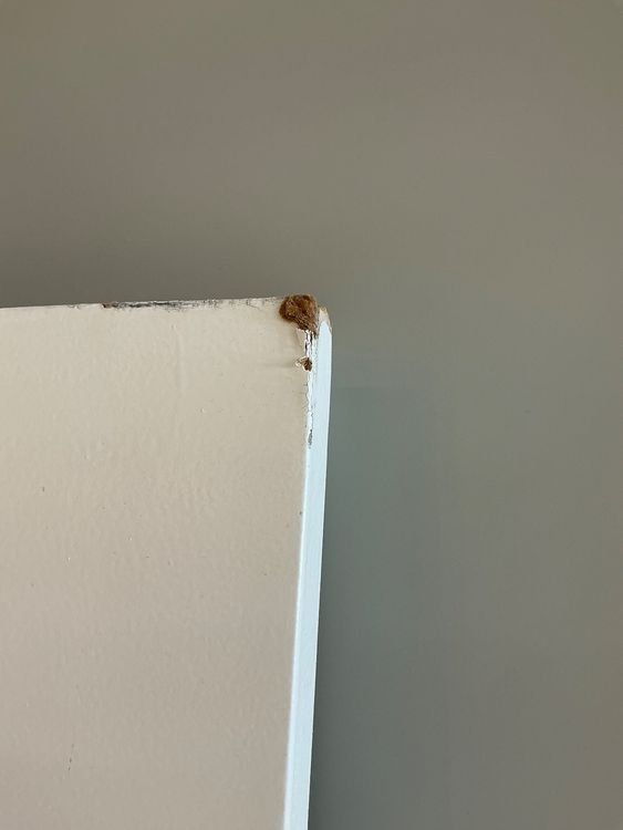Porte: Weisse Holztüre – Usato da Zug venduto da Bauteile-Zug 3