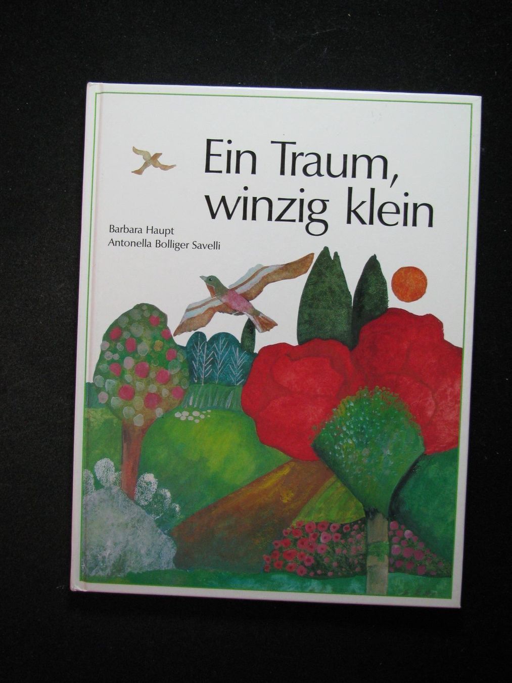 Bücher: Barbara  Haupt Ein Traum winzig klein – Gebraucht aus Reitnau von Zaomir