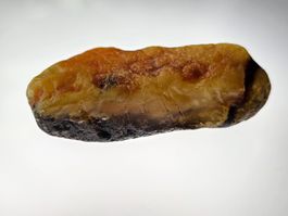 5,5gr Rohbernstein echt Roh Bernstein baltisch selten gelb
