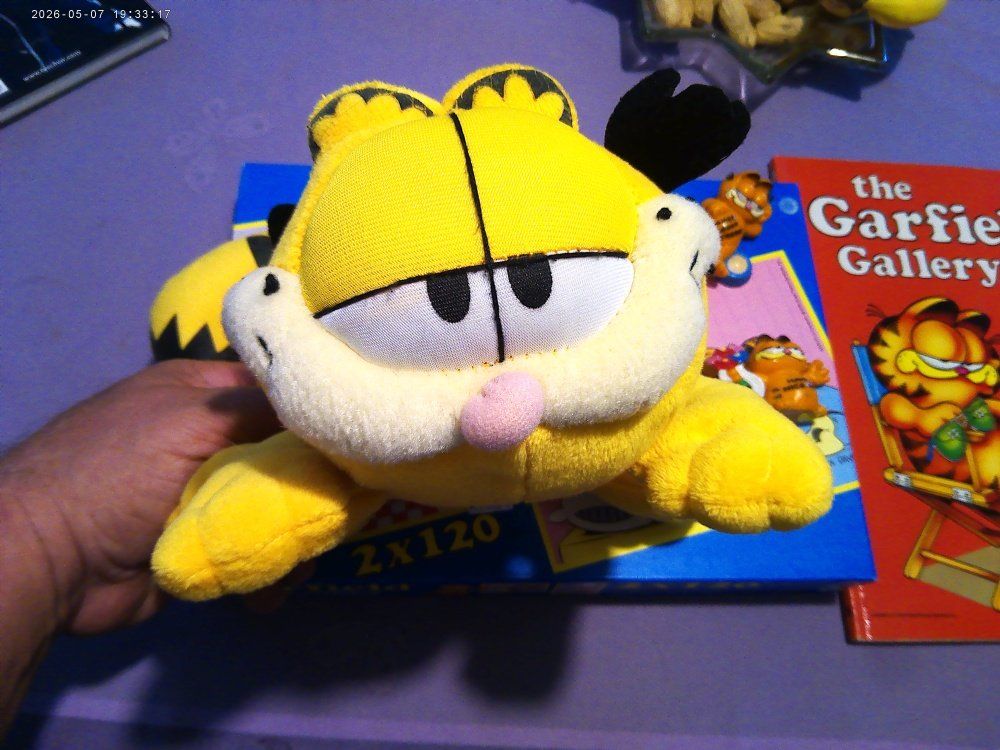 Comics: Garfield PLUSCHTIER + COMIC  DAZU 2 X Puzzles + 2 X Figuren – Gebraucht aus Volketswil von nemo2000 5