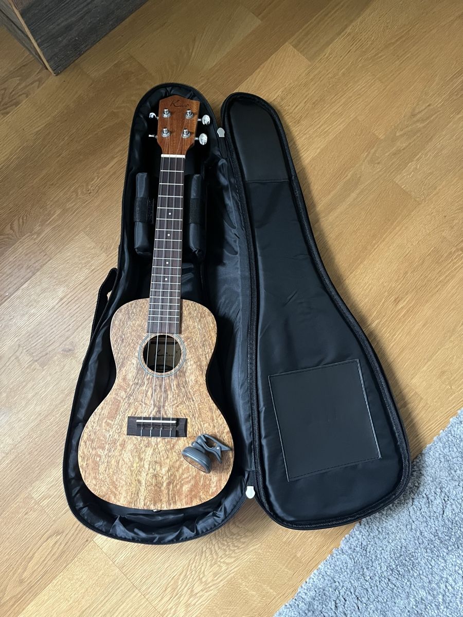 Strumenti musicali: Ukulele, Buch mit CD – Usato da Bern venduto da amapola9