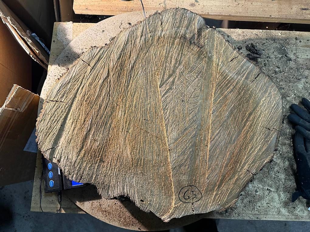 Articles en bois: Olivenholz Baumscheibe G5 – D'occasion à Buus par macipioji