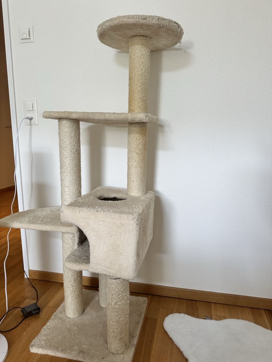 Tiragraffi: Kratzbaum für Katzen – Usato da Illnau venduto da ais_qm7t